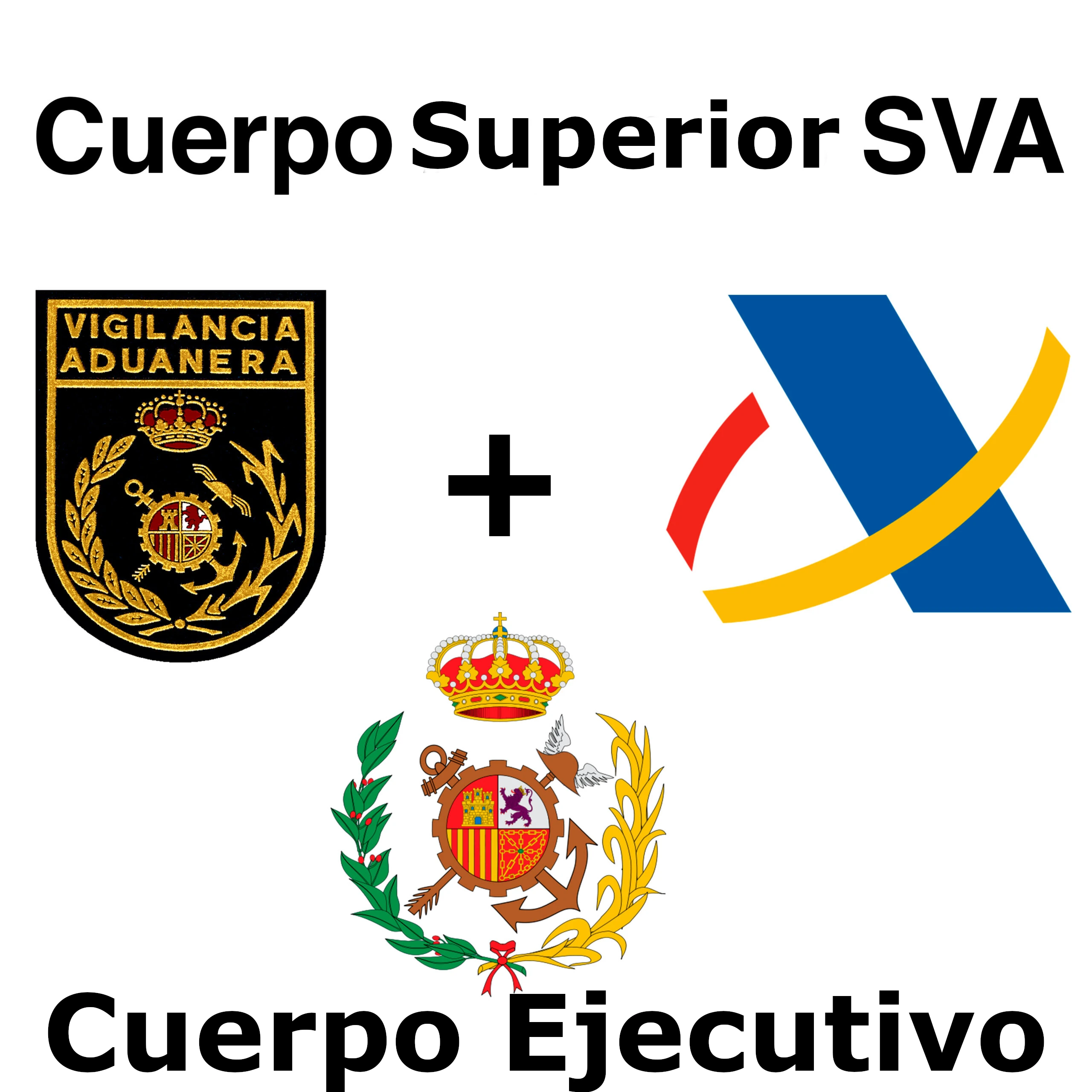 Cuerpo Ejecutivo Y Cuerpo Superior Sva A2 A1 • Instituto Nacional