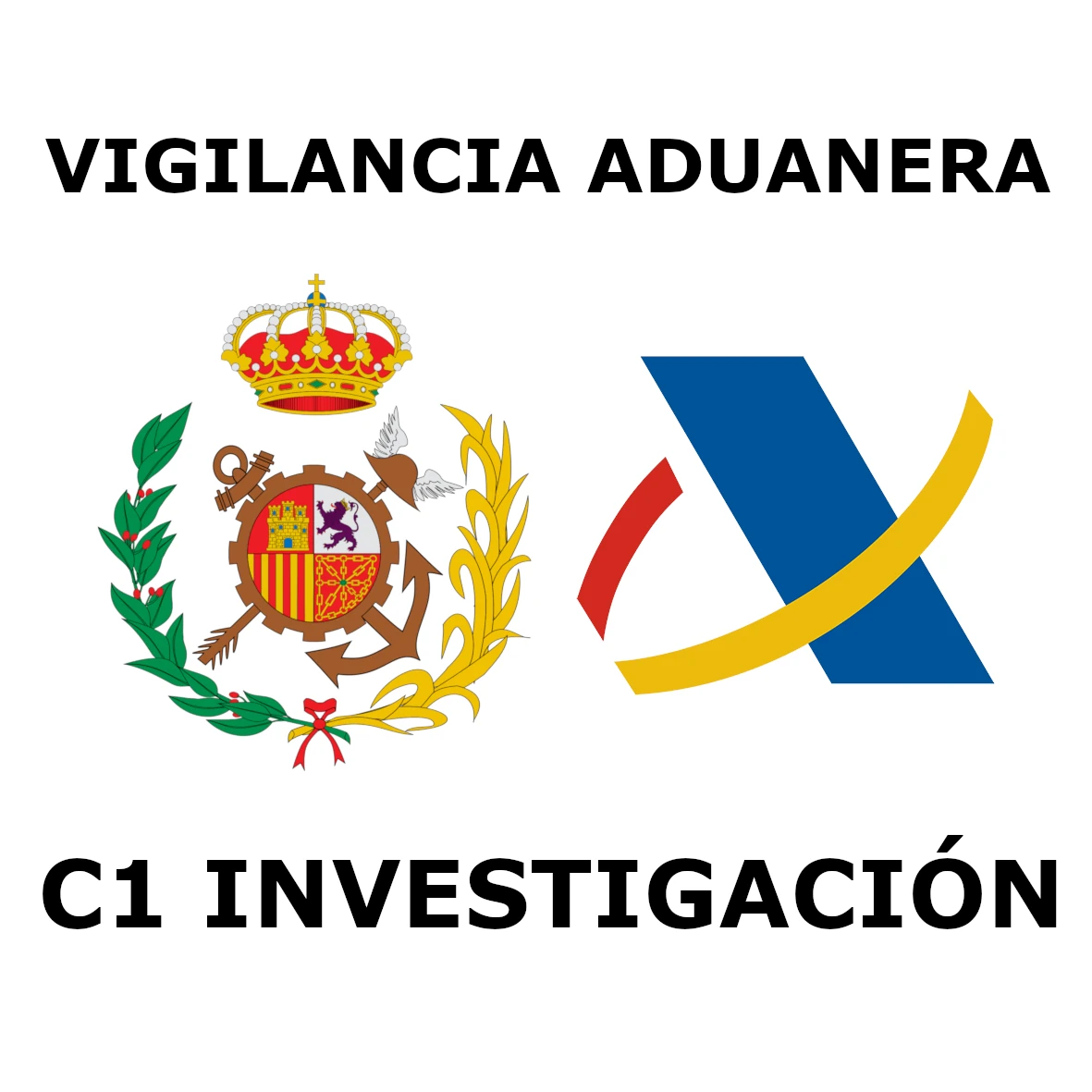 Cuerpo de Agentes del Servicio de Vigilancia Aduanera especialidad Investigación